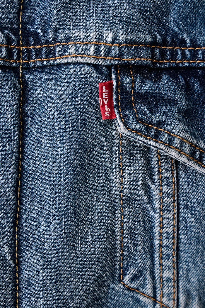 Krótka kurtka męska sztruksowa TYPE 3 SHERPA Levi's niebieski 16365