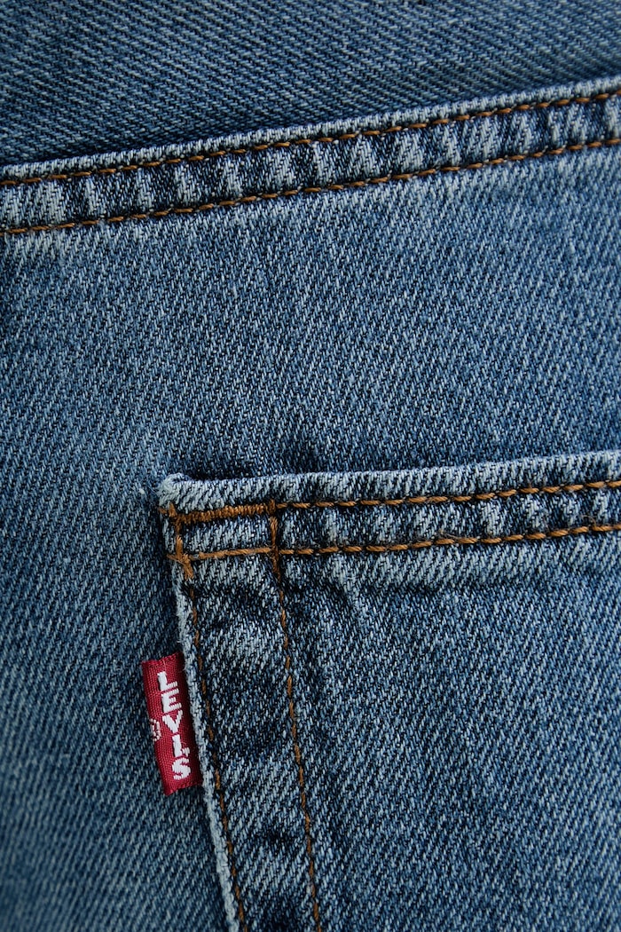 Rifle Levi's BAGGY DAD BAGGY DAD modrá A3494