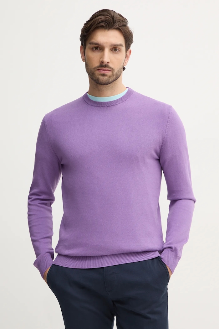 United Colors of Benetton svetr pánský bavlněný fialová 1098U1I76