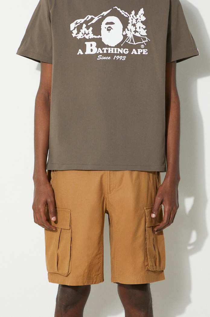 Bavlnené šortky The North Face M Anticline Cargo Short bavlna hnedá NF0A55B61731