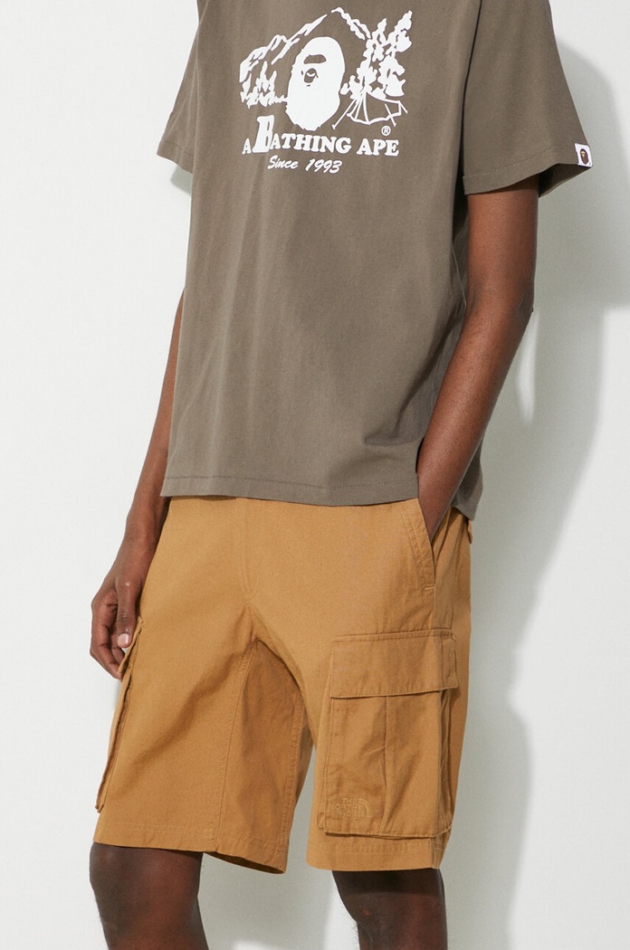 Bavlnené šortky The North Face M Anticline Cargo Short hnedá NF0A55B61731