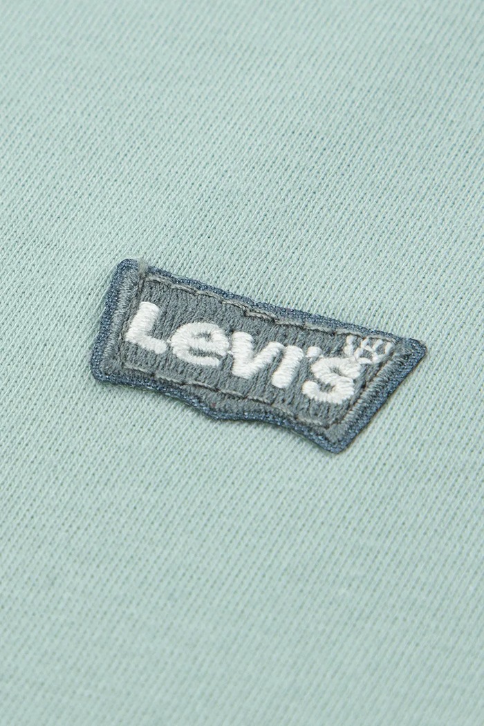 Chlapec Detské bavlnené tričko Levi's LVB BATWING CHEST HIT 8EA100 zelená