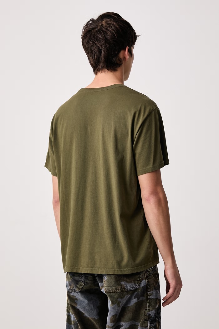 Oblečení Levi's Basic tričko pánské bavlněné RELAXED FIT TEE 16143 zelená