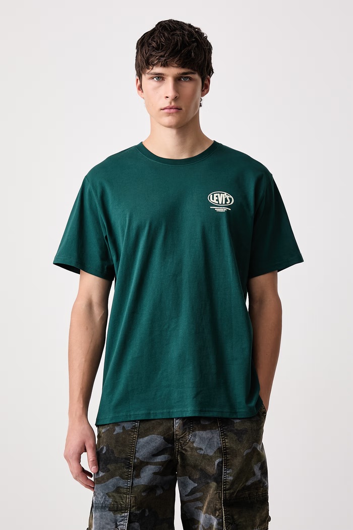 Ρούχα Levi's Basic t-shirt ανδρικό βαμβακερό RELAXED FIT TEE 16143 πράσινο