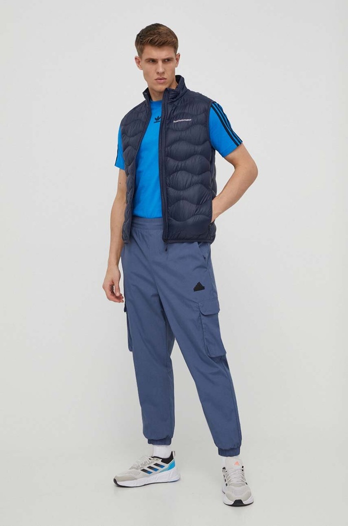Βαμβακερό μπλουζάκι adidas Originals IS2830 μπλε SS24