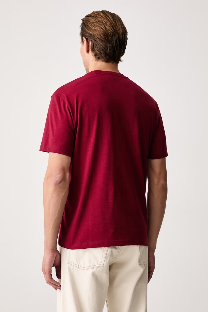 United Colors of Benetton Tričko pánské bavlněné 3MI5J1AF7 burgundské SS26