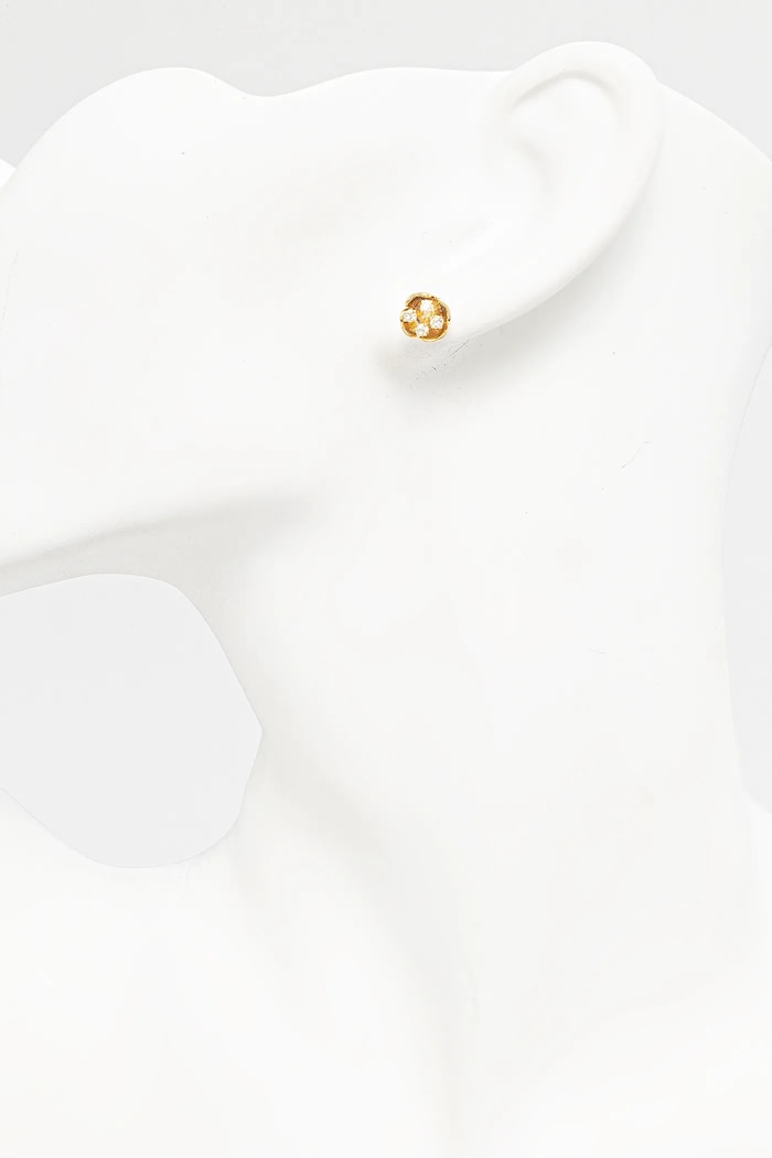 Accesorii Coach cercei 37517821GLD107 aur