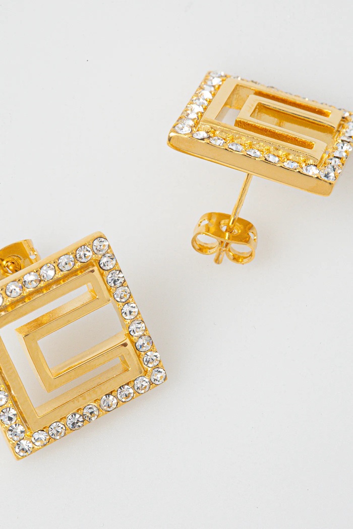 Accesorii Elisabetta Franchi Cercei OR58A52E2 aur