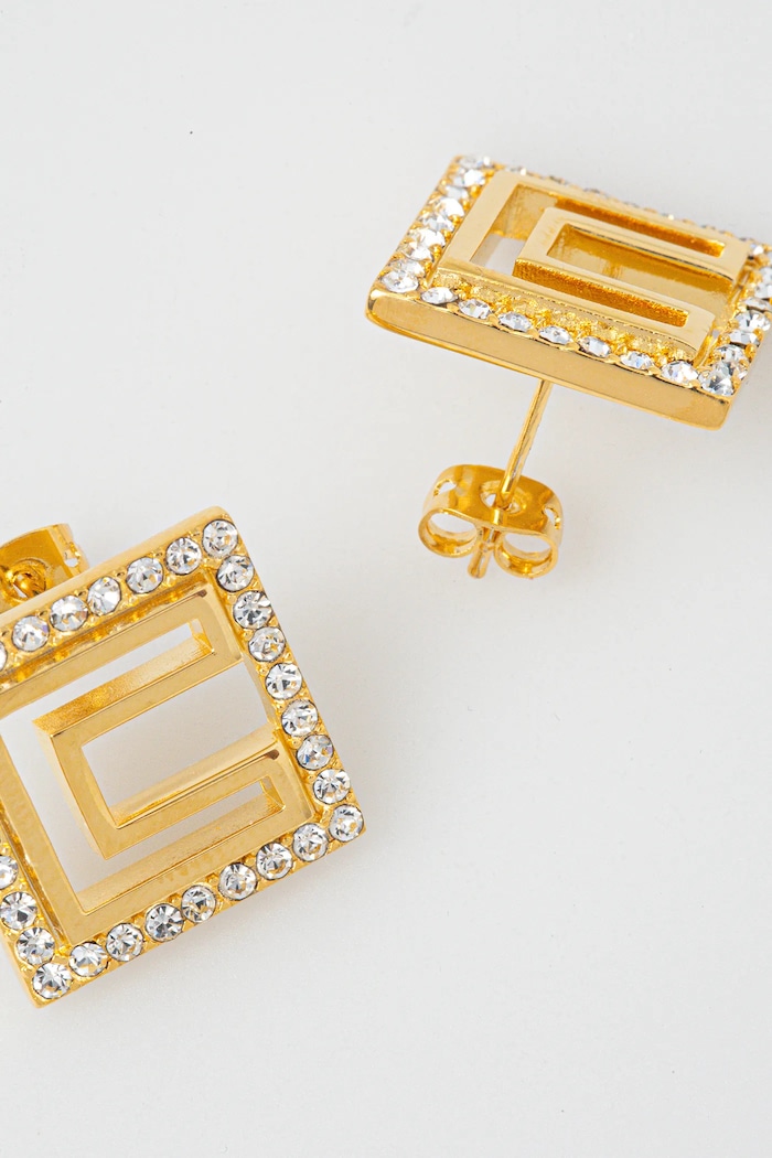 Accesorii Elisabetta Franchi Cercei OR58A52E2 aur