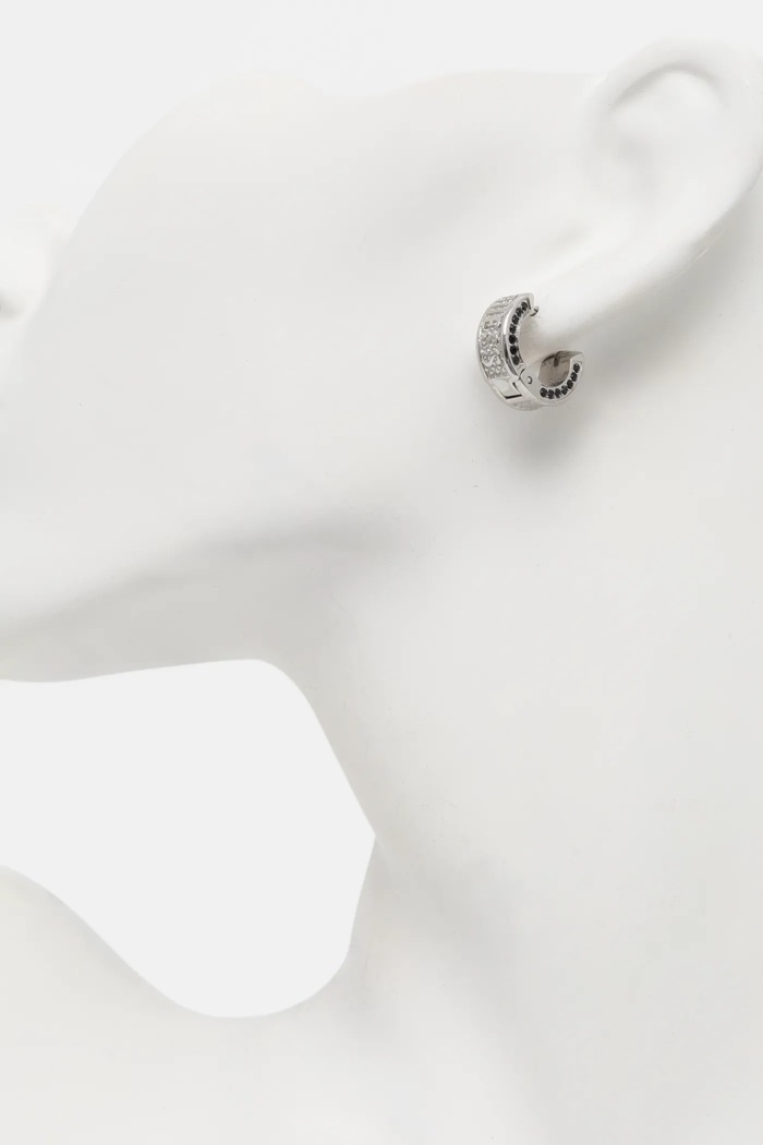 Doplňky Náušnice Guess LION KING JUME05.013JW stříbrná