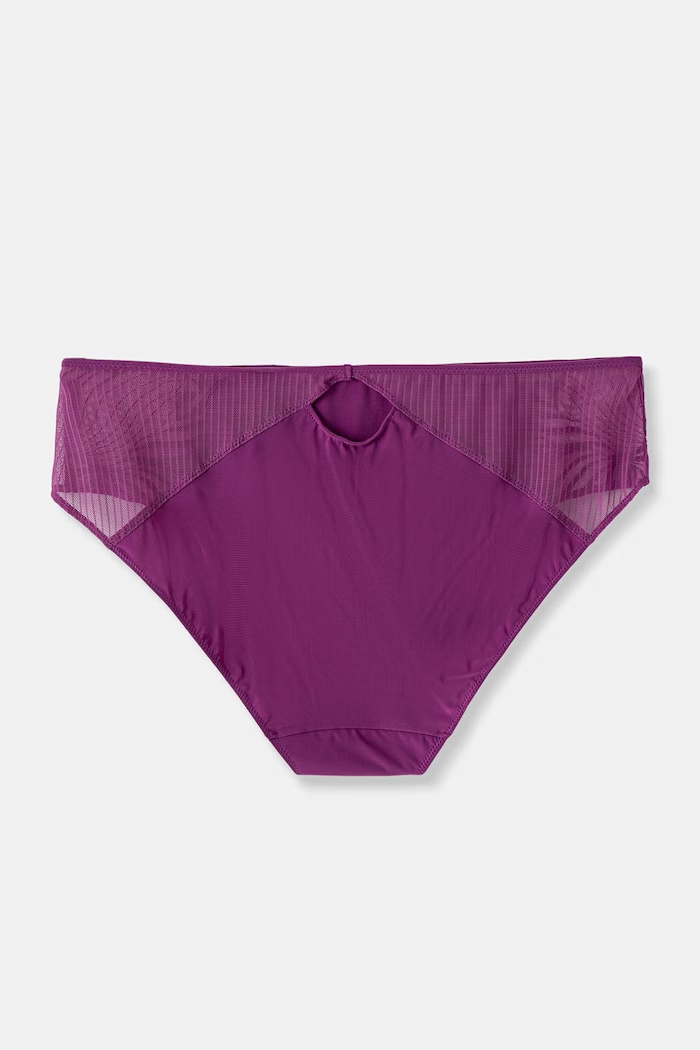 Chantelle mutandine classiche da donna C15YC5 violetto SS26