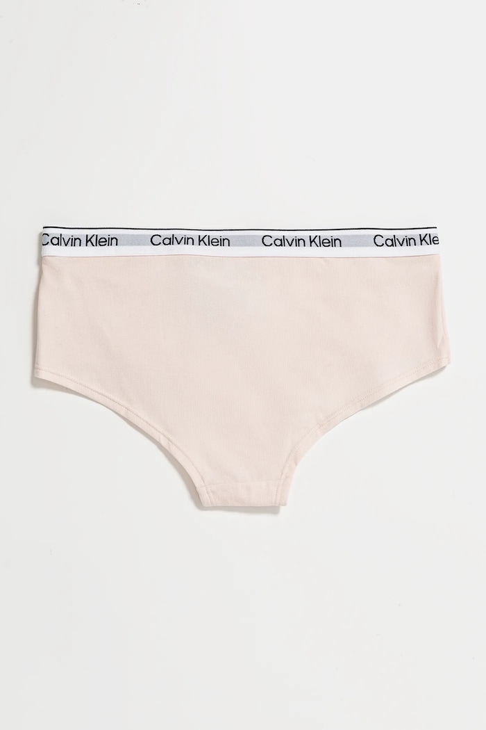 Detské nohavičky Calvin Klein Underwear 2-pak sivá G80G800727.PPYA