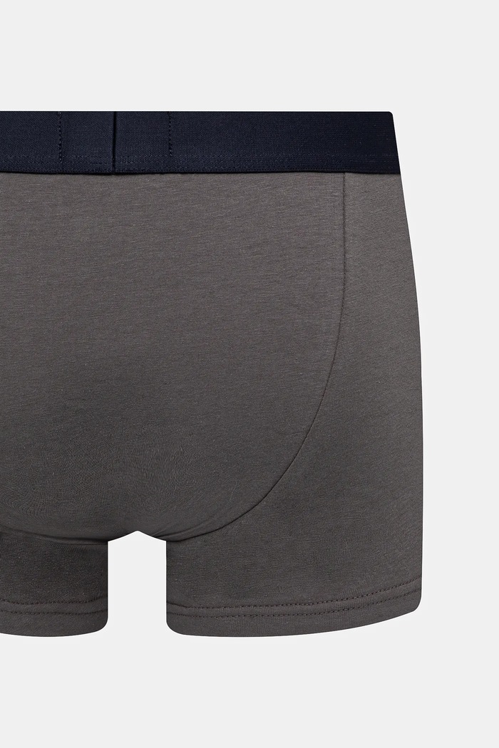 Боксеры Emporio Armani Underwear 2 шт EM001014.AF10797 серый
