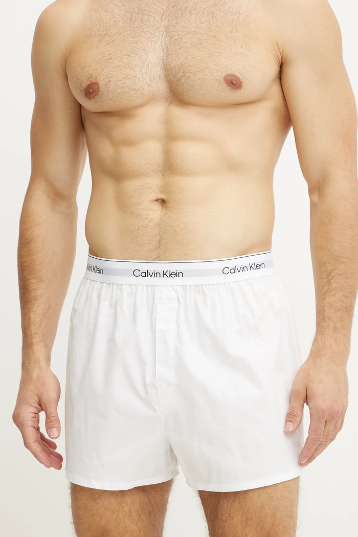 Ρούχα Calvin Klein Underwear Φαρδιά μποξεράκια ανδρικά βαμβάκι με ελαστάν 3-pack LV00NB4267 γκρί