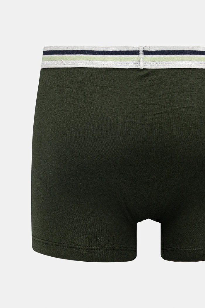 Levi's boxeri 2-pack 37149.1091 verde