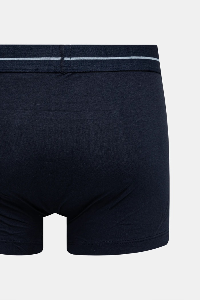 Bokserice Levi's 2-pack 37149.1097 plava