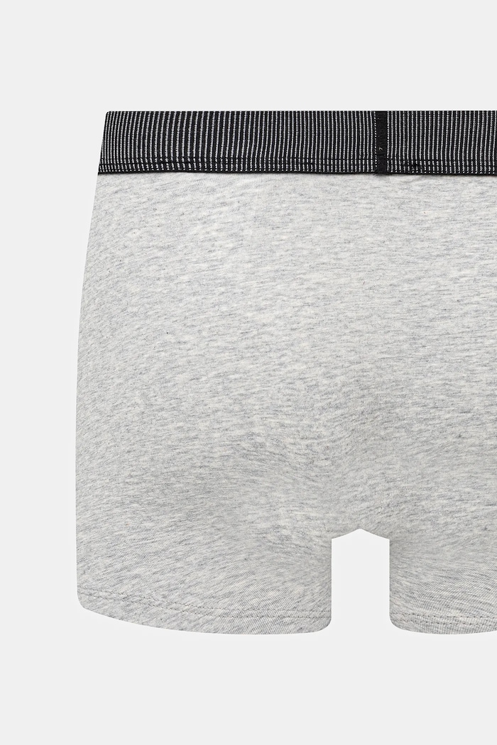 Levi's bokserki 2-pack szary 37149.1102