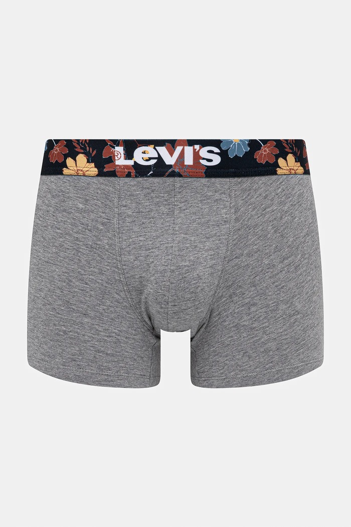 Îmbrăcăminte Levi's Boxeri 2-pack 37149.1117 gri