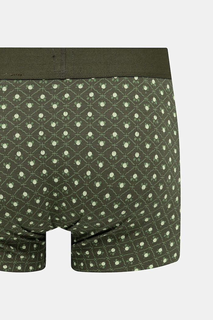 Boxeri 2-pack Levi's 37149.1125 verde