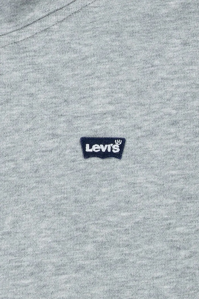 Dječaci Dječja dukserica Levi's MINI BATWING PULL OVER HOO 8EK422 siva