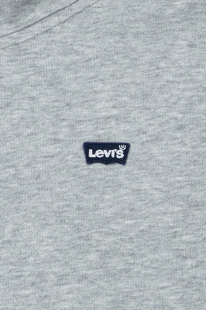 Dječaci Dječja dukserica Levi's MINI BATWING PULL OVER HOO 8EK422 siva