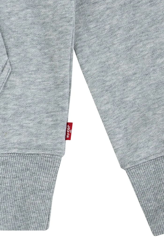 Dječja dukserica Levi's MINI BATWING PULL OVER HOO siva 8EK422