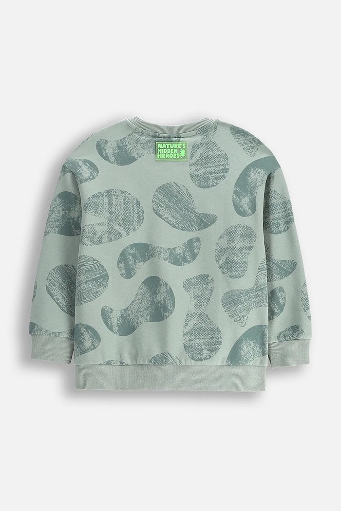 Chłopiec Coccodrillo bluza dziecięca WC5132101SBK zielony