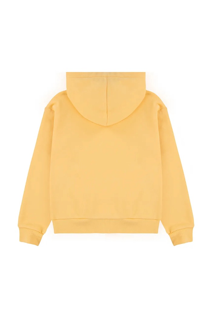Levi's bluza copii BATWING PATCH HOODIE 3EN102 galben SS25