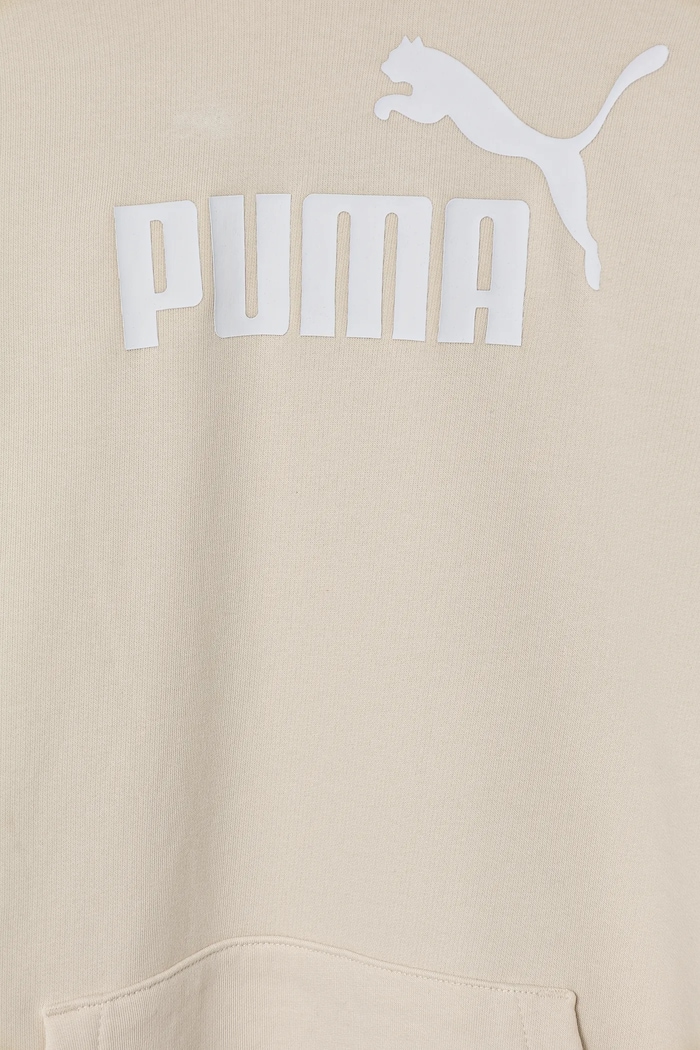 Djevojčice Dječja dukserica Puma ESS No. 1 Logo Hoodie TR 684897 bež