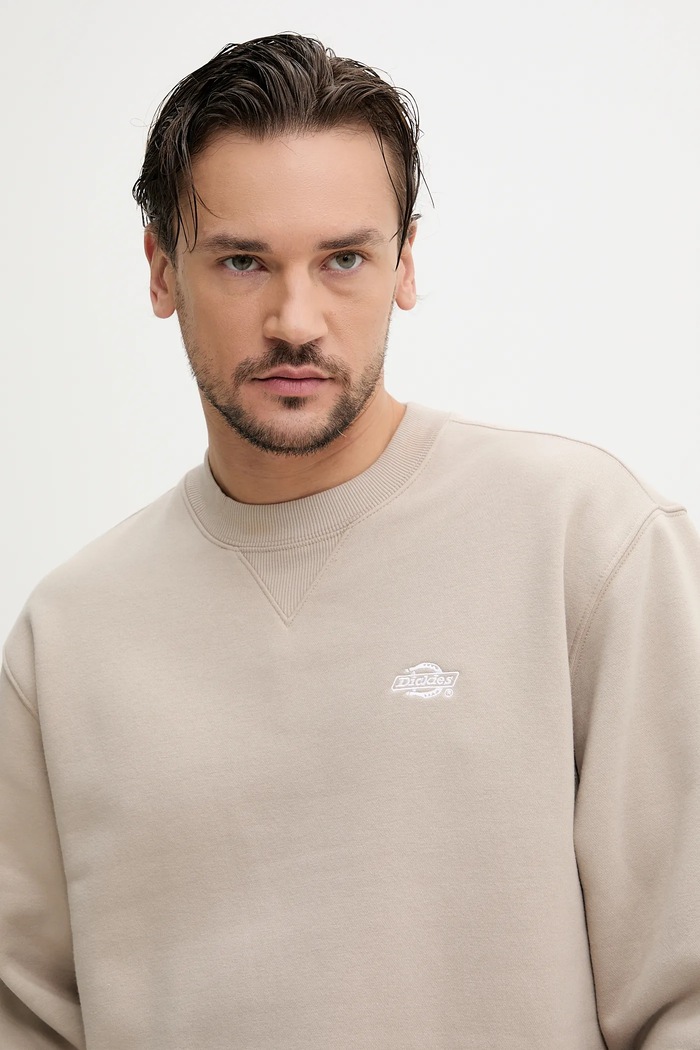 Dickies bluza maro DK0A4Y6QSS01