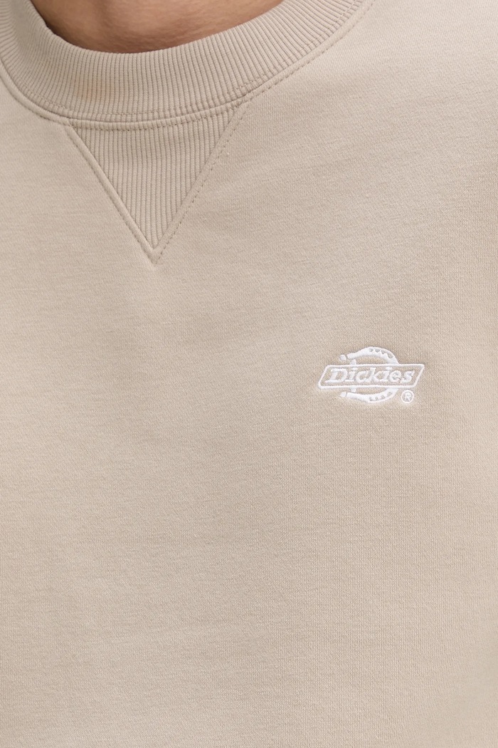 Dickies bluza DK0A4Y6QSS01 maro