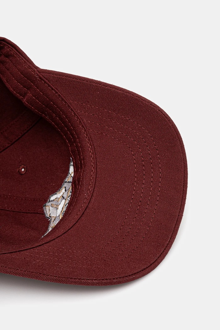 The North Face baseball sapka Norm burgundia NF0A7WHOBQ61