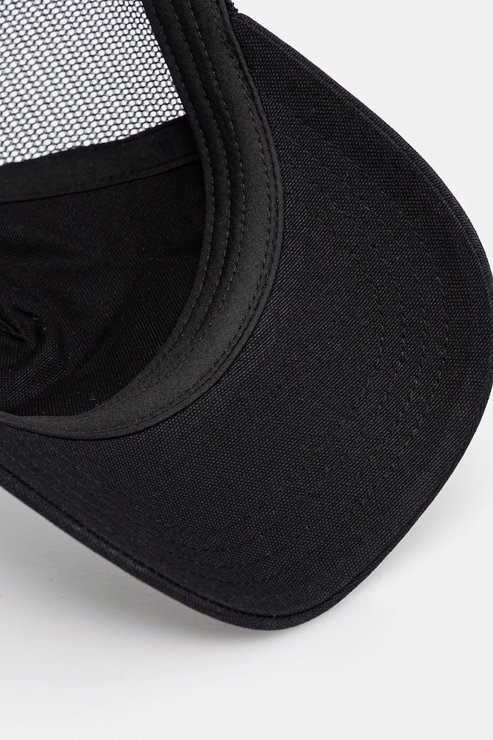 Doplňky Kšiltovka Dickies DK0A4Z6MBLK1 černá