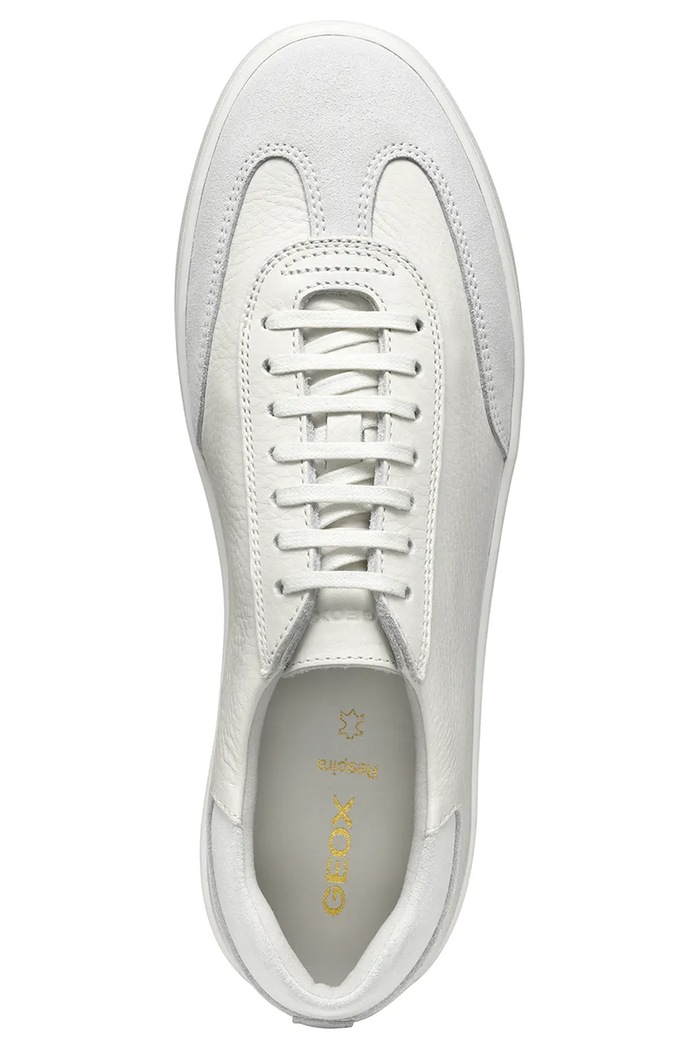 Kožené sneakers boty Geox U REGIO U55CHA.04622.C1000 bílá