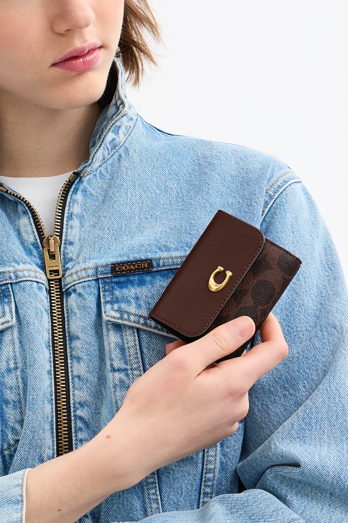 Accessori Coach portafoglio CAN48 marrone
