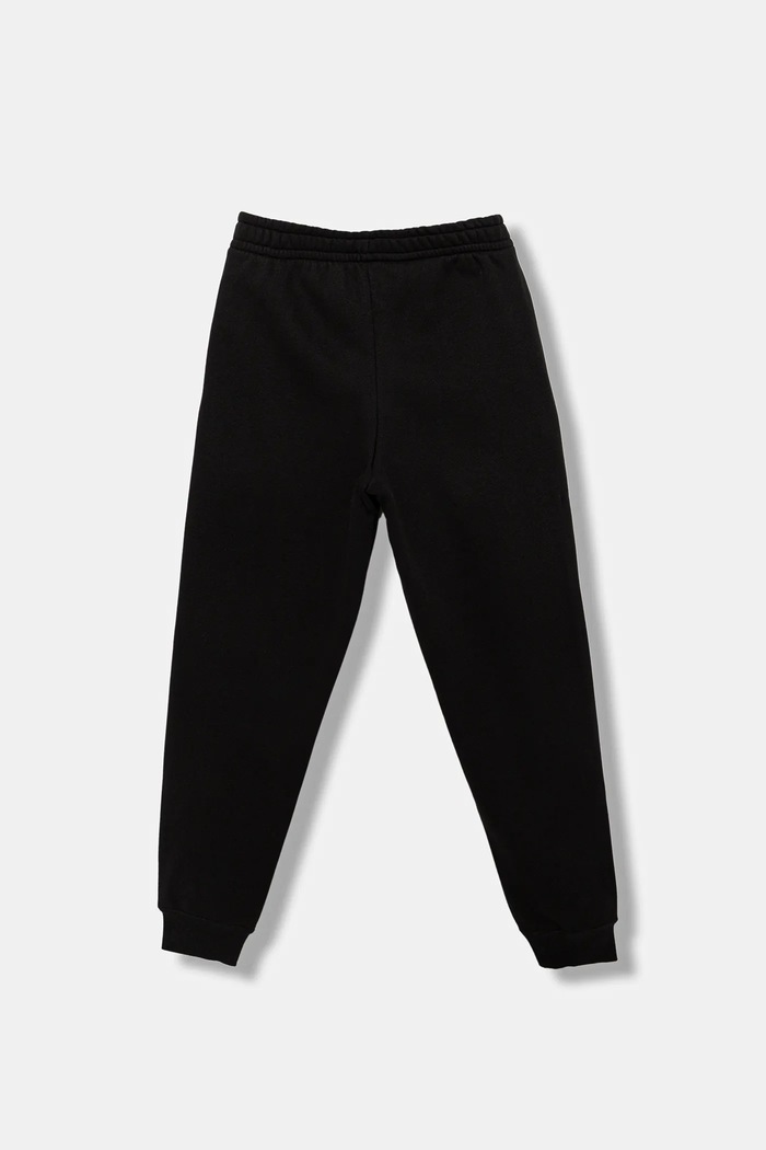 Puma Detské tepláky Puma ESS 2 COLOR No. 1 Logo Sweatpants FL 685824 čierna AW25