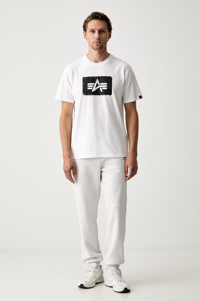 Alpha Industries spodnie dresowe męskie z bawełną Basic 156370 szary SS26