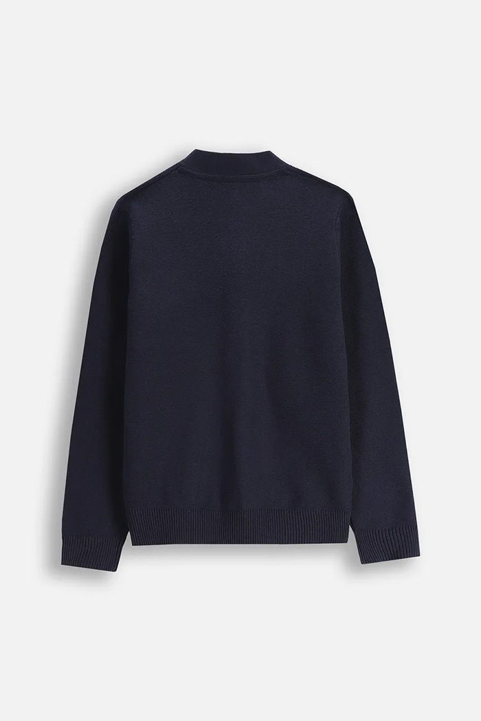 Băieți Coccodrillo Pulover WC5172202BSB bleumarin