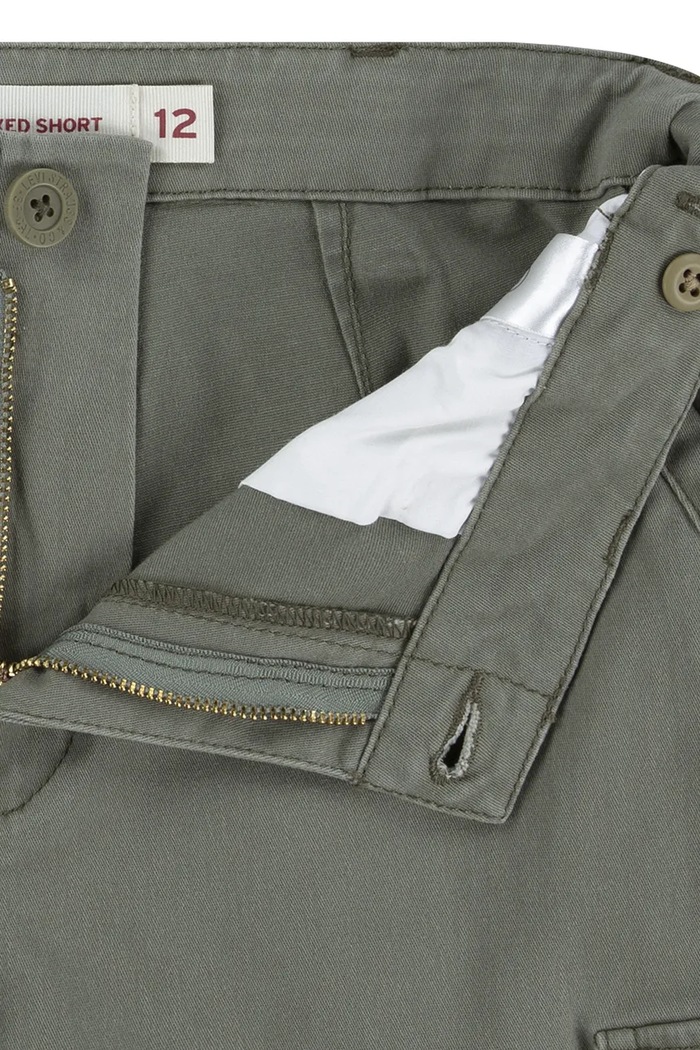 Dječje kratke hlače Levi's TRADITIONAL CARGO SHORTS zelena 9EM381