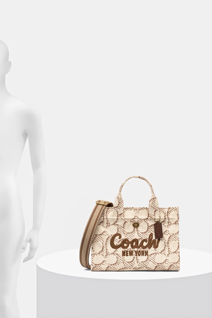 Coach poseta CAM70
