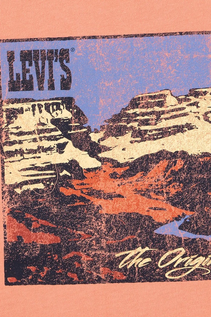 Băieți Levi's tricou copii CANYON LANDSCAPE TEE 8EM301 portocaliu