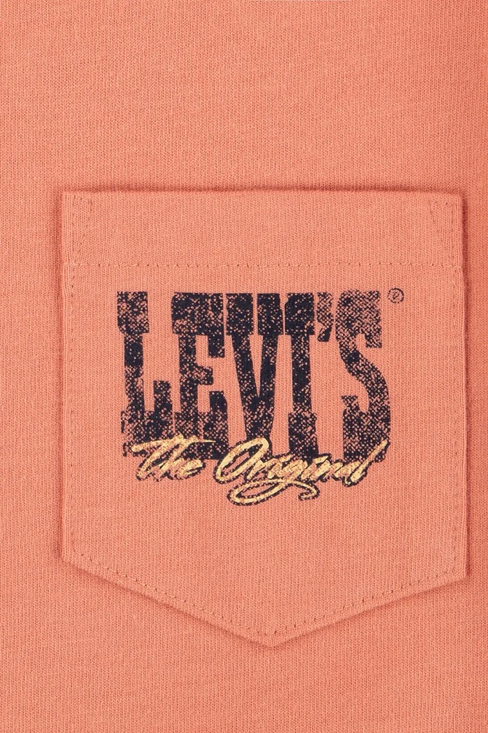 Levi's tricou copii CANYON LANDSCAPE TEE portocaliu 8EM301