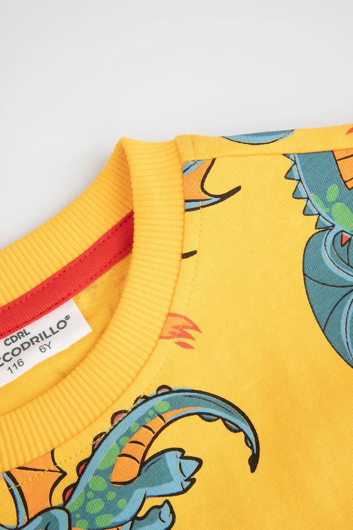 Chłopiec Coccodrillo t-shirt bawełniany dziecięcy WC5143203DBK żółty