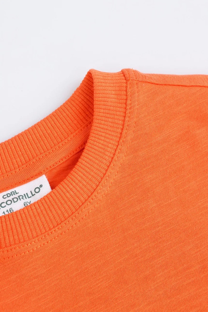 Chłopiec Coccodrillo t-shirt bawełniany dziecięcy WC5143202HBK pomarańczowy
