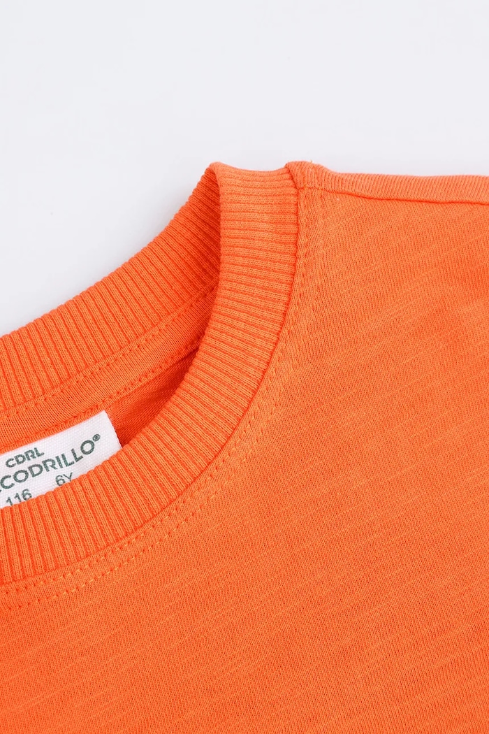 Chłopiec Coccodrillo t-shirt bawełniany dziecięcy WC5143202HBK pomarańczowy