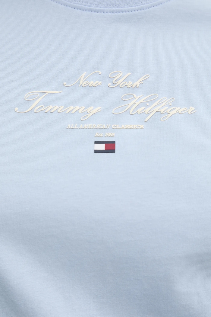 Tommy Hilfiger tricou din bumbac WW0WW43895 albastru