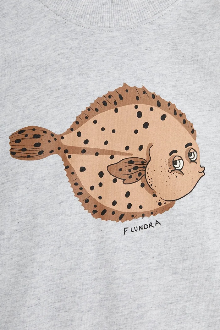 Chłopiec Mini Rodini T-shirt Flundra 2522012994 szary