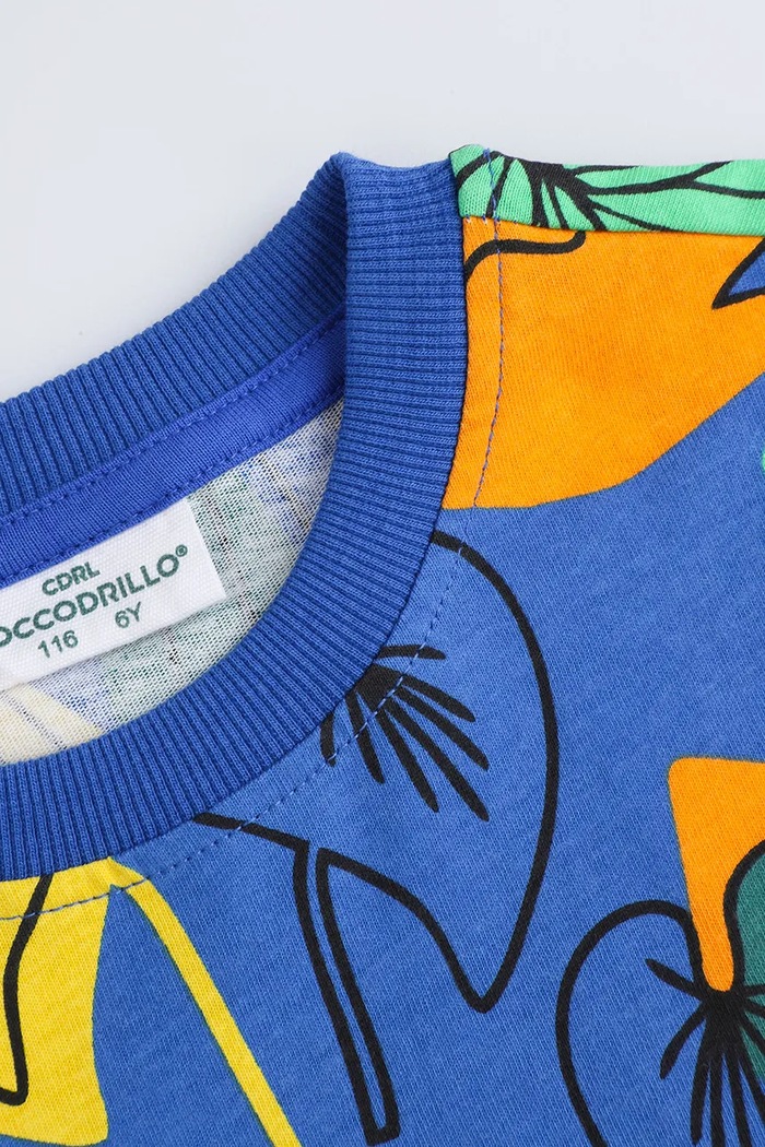 Chłopiec Coccodrillo t-shirt bawełniany WC5143206TBK multicolor