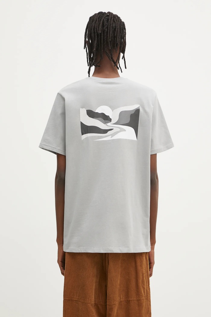 Abbigliamento Columbia t-shirt in cotone Explorers Canyon 2036451. grigio