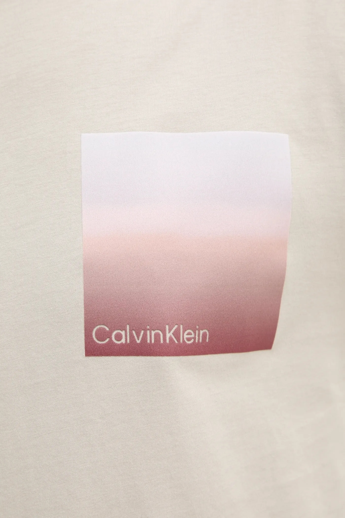 Calvin Klein t-shirt in cotone K10K114164 beige
